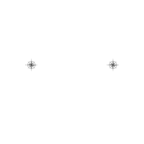 Speed mare logo